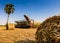 Sugarcane harvesting in thailand