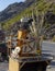 Sugarcane juice seller on a roadside