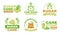 Sugarcane labels. Sugar manufacturing emblems, asian agriculture, organic farm products, advertising stickers, stems and