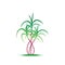 Sugarcane logo and symbol vector image