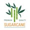 Sugarcane plant production natural organic sugar vector illustration