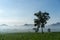 The sugarcane plantation with fog and sunshine in morning countryside and enjoying nature beautiful
