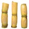 Sugarcane Stalks VI