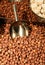 Sugared peanuts in a bin with metal scoop