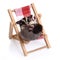 Sugarglider sitting on the beach chair.