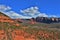 Sugarloaf Mountain, Summit Trail, Maricopa County, Sedona, Arizona, United States