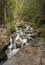 Sugarloaf Stream, Mount Aspiring National Park, New Zealand