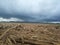 suger cane field after being cut down