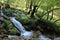 Suggestive stream of Zompo Lo Schioppo, a place in Abruzzo perfect for excursions in the woods.