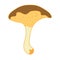 Suillus bovinus mushroom hand drawn  vector illustration
