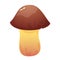 Suillus edible mushroom, vector illustration