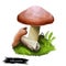 Suillus granulatus, weeping or granulated bolete, pored mushroom closeup digital art illustration. Boletus has brown cap.