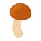 Suillus mushroom. Edible fungus. Cartoon flat style isolated on the white