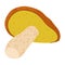 Suillus mushroom. Edible fungus. Cartoon flat style isolated on the white