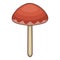 Suillus mushroom icon, cartoon style