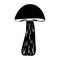 Suillus mushroom in outline style. Edible Organic mushrooms. Truffle brown cap. Forest wild mushrooms types