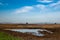 Suisun marsh, Fairfield, California, USA