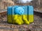 Suitcase with bear on rails in Ukraine colors