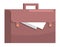Suitcase for papers and documents. Leather briefcase with handle. Work portfolio of businessman