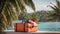 Suitcase Santa hat, sea season summer vacation background bag tourism relax