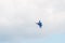 Sukhoi SU-30 Flanker-C, aerobatic team Russian Knights