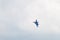 Sukhoi SU-30 Flanker-C, aerobatic team Russian Knights