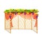 Sukkah for celebrating Sukkot