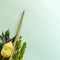 Sukkot festival symbols on light green background