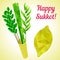 Sukkot symbols - four species - palm, willow, myrtle , etrog citron. Jewish religious New Year holidays.