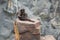 Sulawesi macaque sitting on the stone, copy space