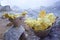 Sulfur carriers basket at Kawah Ijen