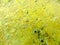 sulfur moon surface crack marble granite stone luxury