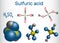 Sulfuric acid sulphuric, H2SO4 molecule . It is strong miner