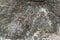 Sulphide copper nickel ore texture close-up. Mineral stone surface background.