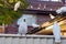 Sulphur-crested cockatoos seating on a roof and on the fence. Urban wildlife