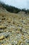 Sulphureous rocks on the Vulcan Crater