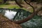 Sulphurous water springs in Lavino in autumn in Abruzzo in Italy