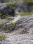 Sulpur steaming rising out of the ground in Waiotapu reserve New Zealand