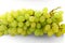 Sultana, white pale green, oval seedless grape variety also called the sultanina, Thompson Seedless United States, Lady de Cov