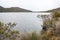 Sumapaz Paramo lake with plants and Frailejones