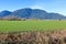 Sumas Mountain and Farm Land