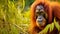 A Sumatran Orangutan on Wild Majestic Rainforest. Generative AI.