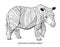 Sumatran rhinoceros. Rare animal, conservation status. Vector illustration