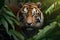 Sumatran Tiger in the jungle - Ai Generated