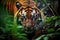 Sumatran Tiger in the jungle of Sumatra National Park, Indonesia