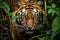 Sumatran Tiger in the jungle of Sumatra National Park, Indonesia