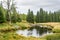 Sumava forest with a pool on the Roklansky brook in Sumava National Park in early autumn. Czechia, Europe