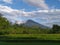 Sumbing mountain and ricefields at beautiful morning