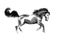 Sumi-e horse illustration