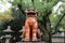 Sumiyoshi Taisha Shrine, Osaka, Japan